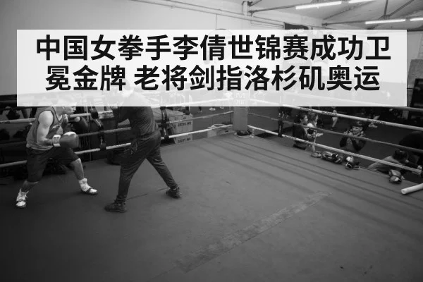 boxer training gym